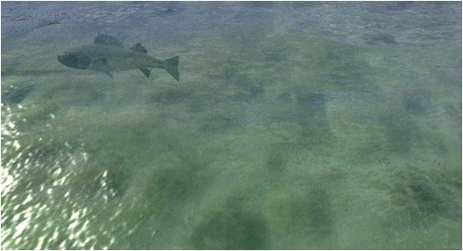 Animation - Fish
