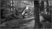 Character - Forest Butterfly