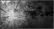 Animation - Meteor Explosion