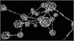Animation - Molecule