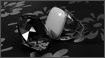 Object Modeling - Rings
