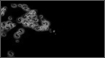Animation - Swirls