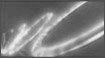 Animation - Torus
