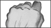 Drawings - Fist of Fury