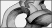 Drawings - Mechanical Foot