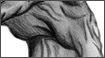 Drawings - Pointing
