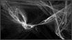 Fractals - Concentric