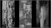 Paintings - Neo-Expressionist Triptych
