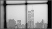 Black & White Photography - Last View